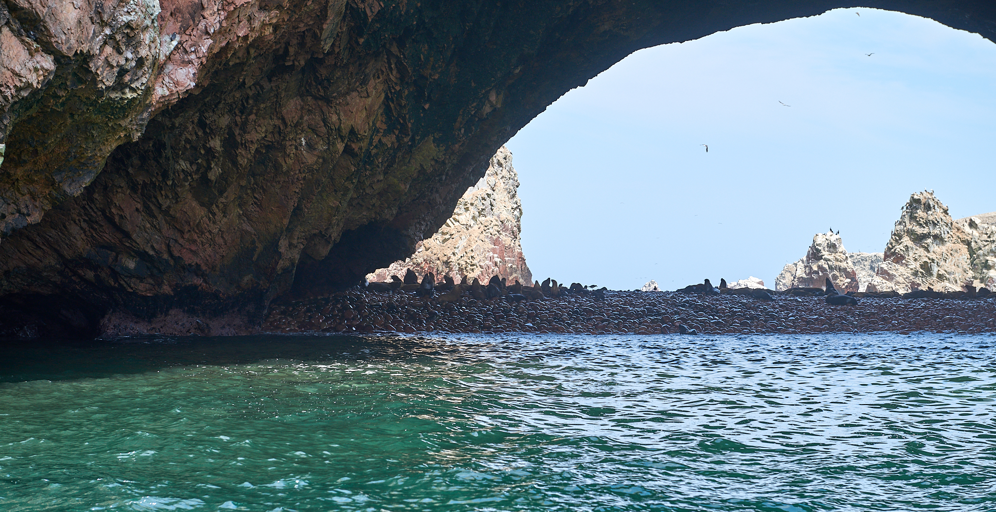 20200304 110 [페루] 바예스타섬